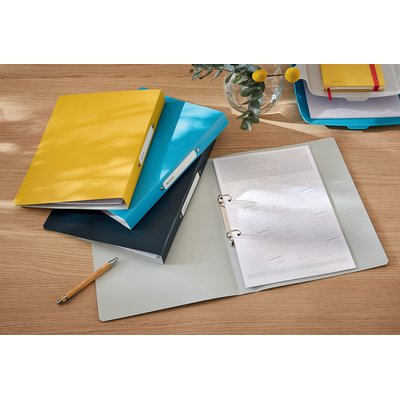 Classeur Leitz Cosy A4 2 anneaux méc-O 25mm PP gris