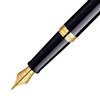 Vulpen Waterman Hémisphère black lacquer GT medium foto