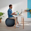 Ballon d'assise Leitz Ergo Cosy gris Photo