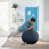 Ballon d'assise Leitz Ergo Cosy gris Photo