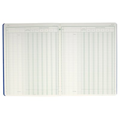 Register Piqure dagontvangsten 320x250mm 80vel assorti