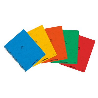 Schrift Aurora 210x165mm ruit 5x5mm 120 pagina's 80gr assorti