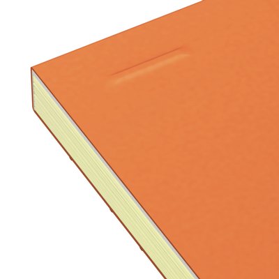 Bloc de cours Oxford Everyday A4+ ligné 4 perf 160 pages 80g orange