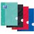 Bloc de cours Oxford School A4 ligné 2 perf 200 pages 80g assorti