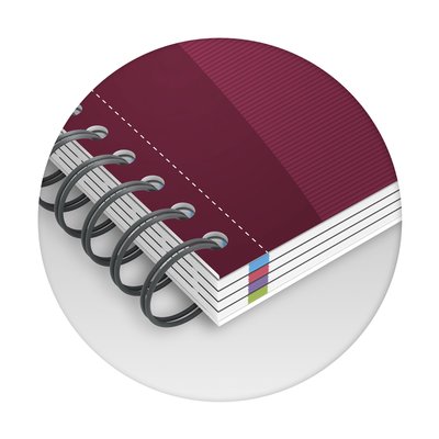 Cahier de notes Oxford Essentials European A4+ 4 trous 120 pages assorti