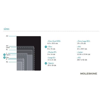 Carnet de notes Moleskine Large 130x210mm ligné couverture rigide noir
