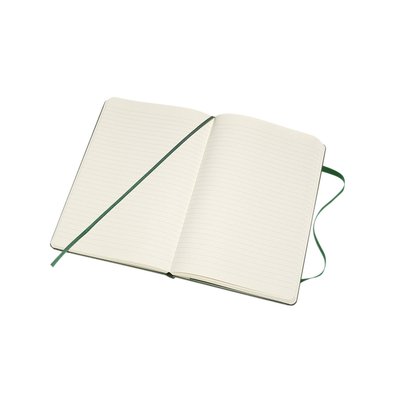 Carnet de notes Moleskine XL 130x210mm ligné rigide vert myrte