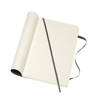 Carnet de notes Moleskine L 130x210mm uni vert myrte