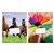 Cahier Kangaro 165x210mm 36 pages 80g