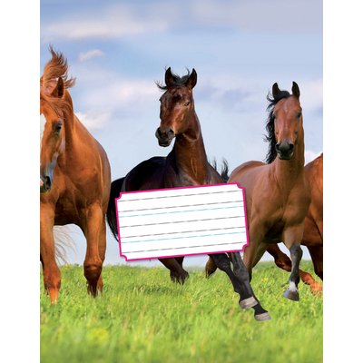 Cahier Kangaro 165x210mm 36 pages 80g