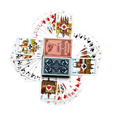 Jeu de cartes chiens plastifiées bleu ou rose