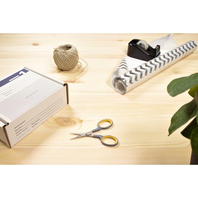 Ciseaux Westcott Hobby 3D 100mm titane Softgrip