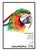Tekenblok Aurora A4 20 vel 250 gram Steinbach papier