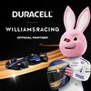 Pile Duracell Optimum 12x AAA Photo