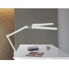 Lampe de bureau MAULcraft duo LED Pince table intensité variable blanc Photo
