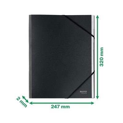 Sorteermap Leitz Recycle 12 tabs karton zwart