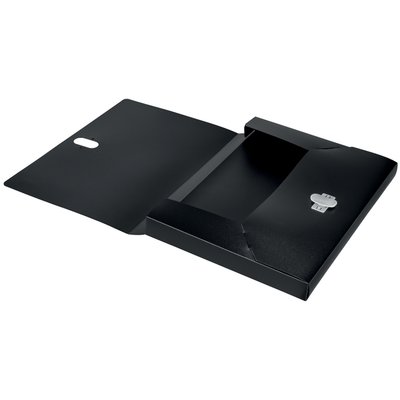Boîte de classement Leitz Recycle A4 PP noir