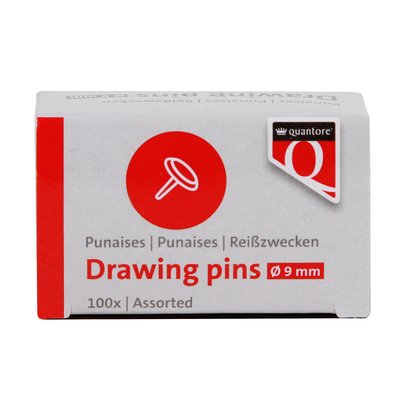 Punaises Quantore 100 stuks assorti