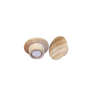 Aimant Legamaster bois 5 pièces