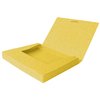 Elastobox Oxford Top File+ A4 40mm geel foto