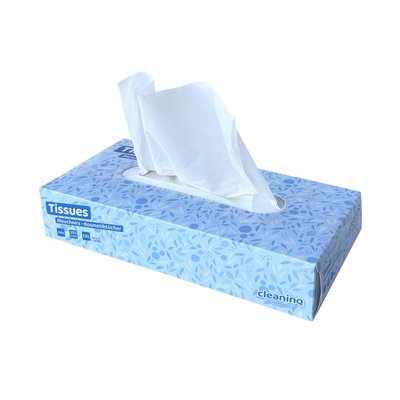 Facial tissues Cleaninq F1 2-laags 100 vel wit