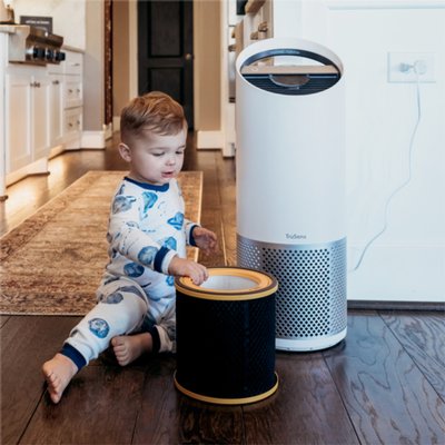 Filtre à charbon Anti-odeur et COV pour Leitz TruSens Z-3000