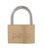 Hangslot Pavo 40mm