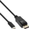 Kabel inLine USB-C Displayport 3.1 4K M/M 2 meter zwart foto
