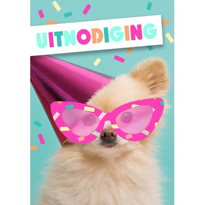 Carte d'invitation Chien avec lunettes 5 pièces (NL)
