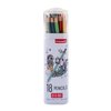 Crayon de couleur Bruynzeel set 18 couleurs Photo