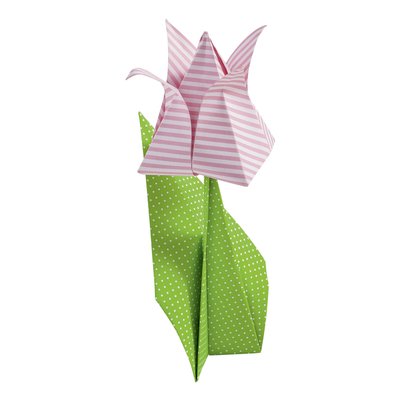 Papier à plier Folia Basics 50 feuilles assorti