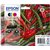 Inktcartridge Epson 503 T09Q64 zwart + 3 kleuren