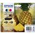 Inktcartridge Epson 604XL T10H64 zwart + 3 kleuren