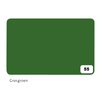 Fotokarton Folia 300gr 50x70cm 55 grasgroen foto