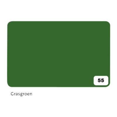 Fotokarton Folia 300gr 50x70cm 55 grasgroen