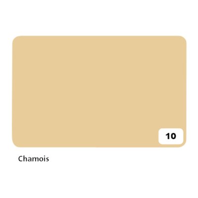 Fotokarton Folia 300gr 50x70cm 10 chamois
