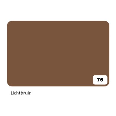 Fotokarton Folia 300gr 50x70cm 75 reebruin