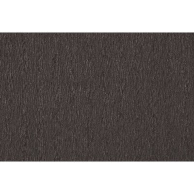 Crêpepapier Folia 50x250cm 10vel 199 zwart