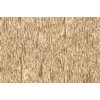 Crêpepapier Folia 50x250cm 10vel 9125 goud foto