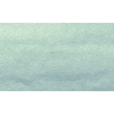 Zijdevloeipapier Folia 50x70cm 20gr nr66 zilver 5 vel