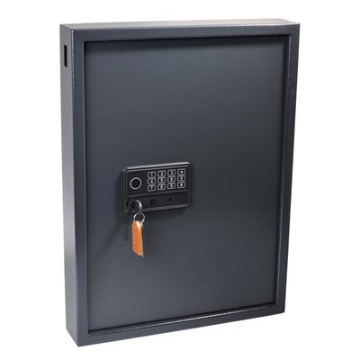 Sleutelkast Pavo High security Magnettag 50 haken 575x450x77mm