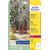 Etiquette Avery L7784-25 210x297mm transparent 25 pièces