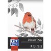 Tekenblok Oxford Drawing A3 40 vel 160 gram foto