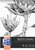 Tekenblok Oxford Sketching A4 50 vel 120 gram