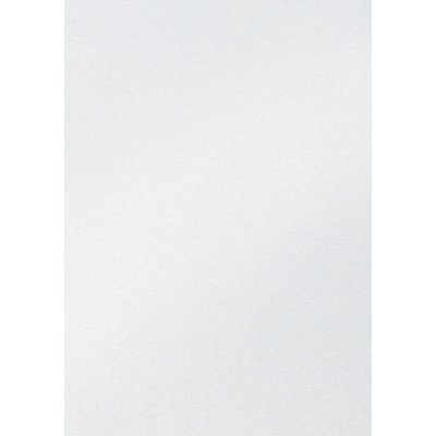 Fotokarton Folia 250gr 50x70cm parelmoer 00 wit