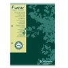 Cursusblok Clairefontaine Forever Calligraphe A4 lijn 2-gaats 200 pagina's 70gr groen foto
