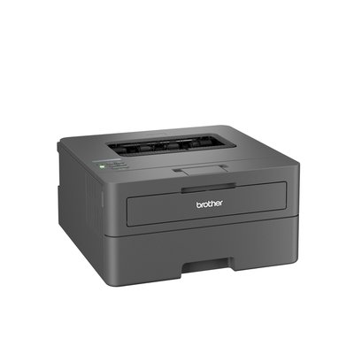 Printer Laser Brother HL-L2400DWE