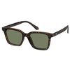 Zonnebril Montana met smoke gepolariseerd glas mat turtle foto