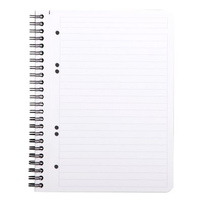 Cahier de notes Rhodia Greenbook A5 ligné 6 perforations 180 pages 90g noir