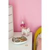 Gesso Décopatch wit 300ml foto